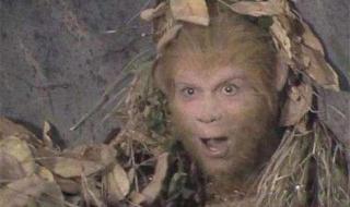 怎么把照片缩小 怎么把照片缩小